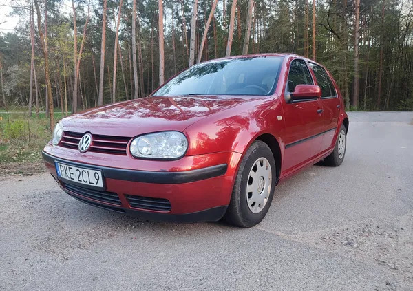 volkswagen Volkswagen Golf cena 6100 przebieg: 187000, rok produkcji 1998 z Żukowo